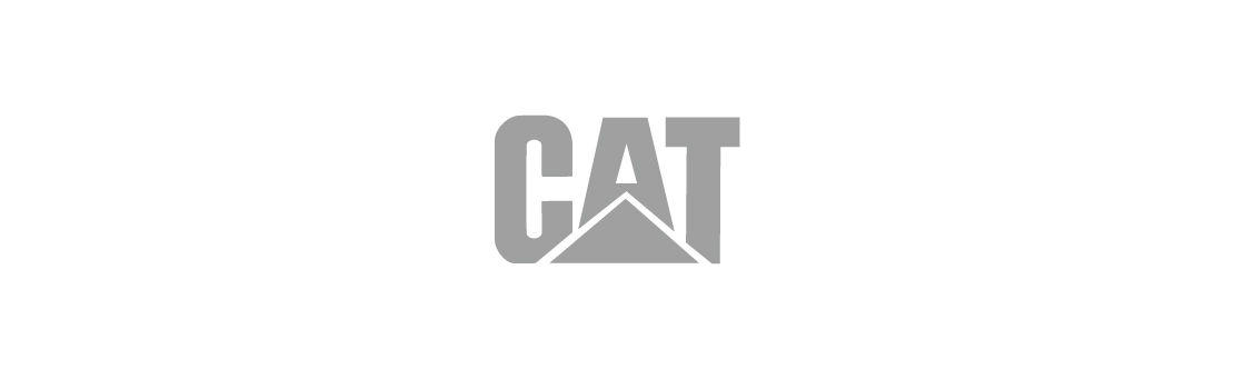 ����cat